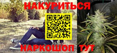spice Кингисепп