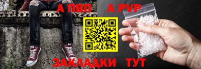 spice Кингисепп