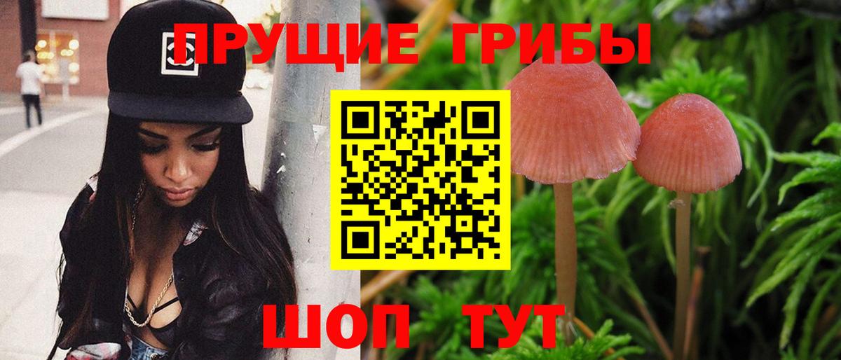 Галлюциногенные грибы Psilocybine cubensis Коммунар